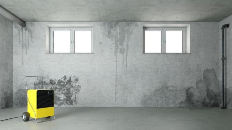 D&eacute;g&acirc;ts des eaux &agrave; Aiserey, comment r&eacute;agir rapidement et efficacement ?